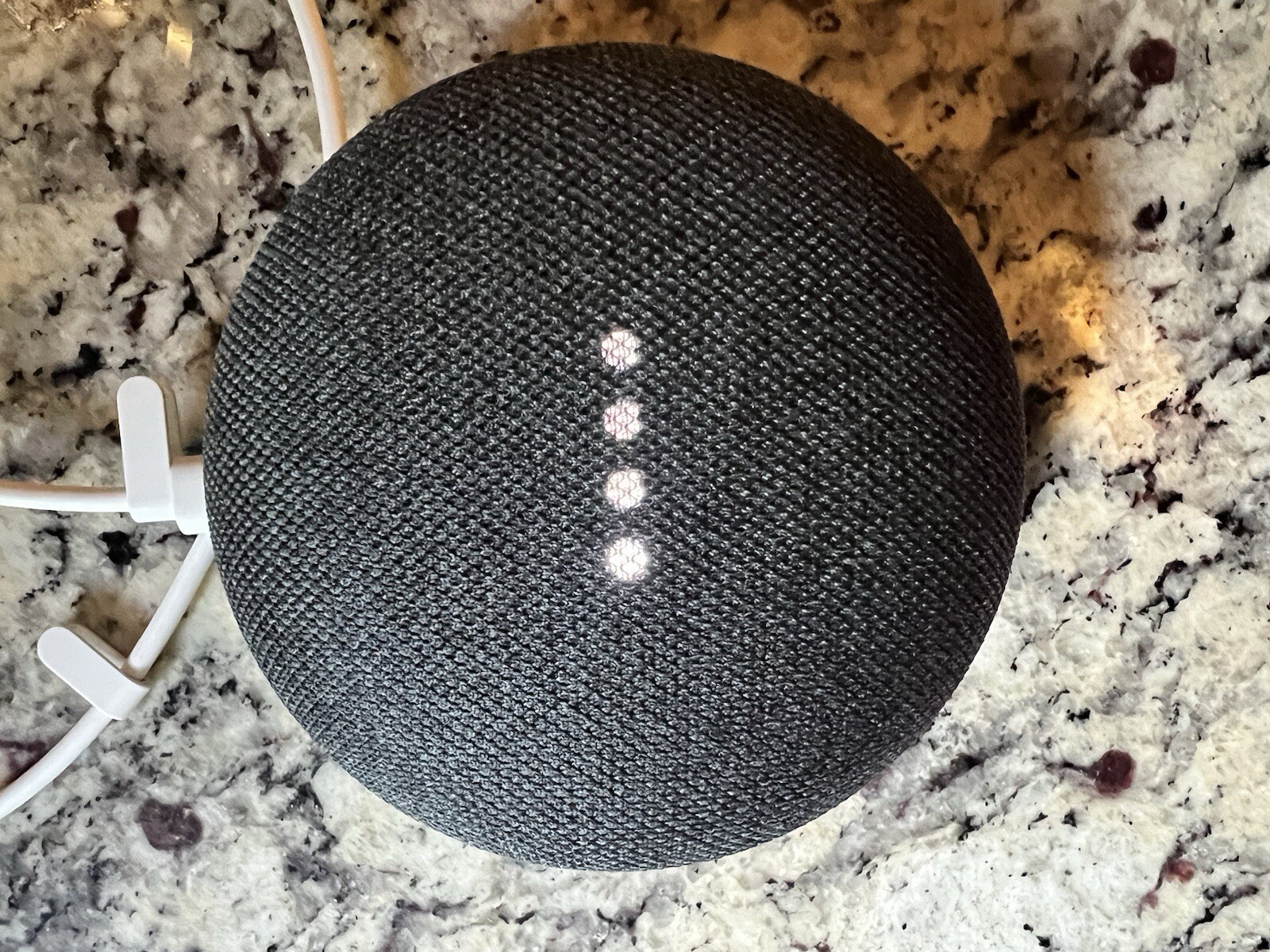 Google Home and Amazon echo