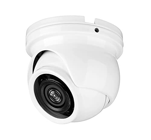 EVERSECU AHD/TVI/CVI/Analog Mini Turret Dome Camera 1080p 1 Count (Pack of 1)