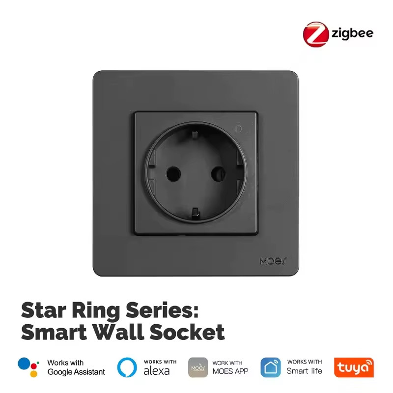 Tuya ZigBee Smart Socket EU Wall Embedded Outlet Energy Monitor Indicator App Re