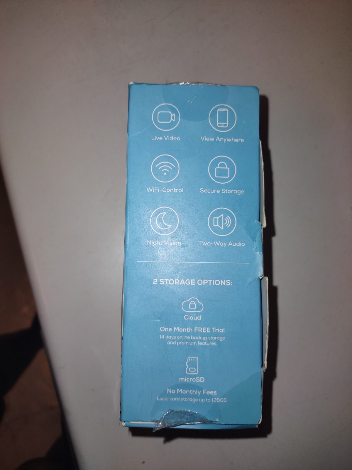 Mercury Smart Indoor Cam (Plug-in)