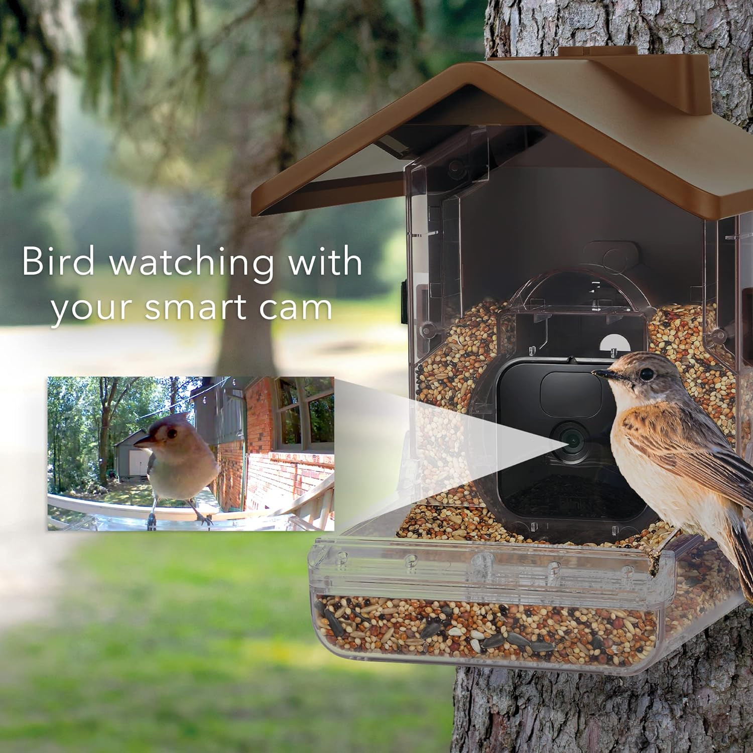 Bird Feeder Camera Case Compatible with Blink, Wyze & Ring Security Cameras Incl