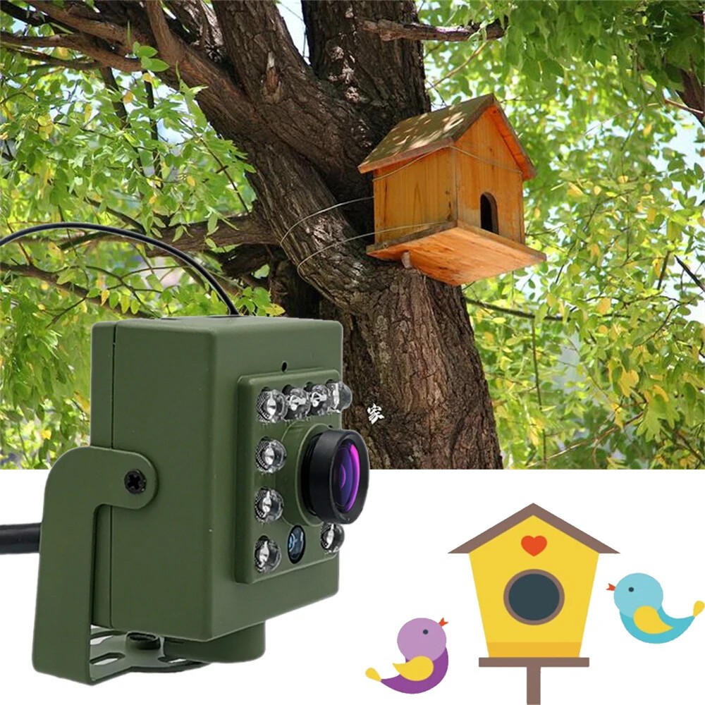 Green Wifi Bird Box Camera Night Vision Mini Pet Nest Bird Watching 2.8mm Lens