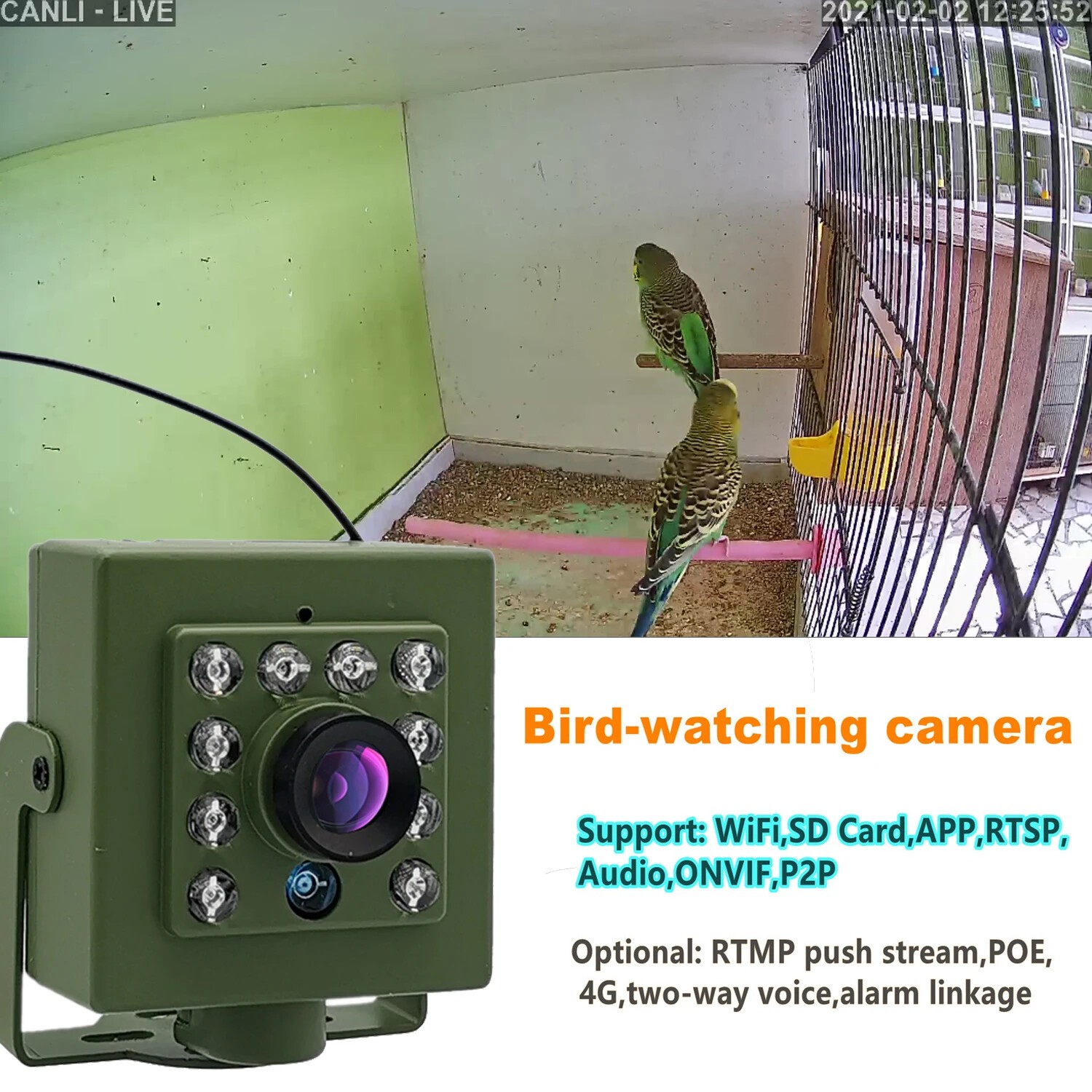 Green Wifi Bird Box Camera Night Vision Mini Pet Nest Bird Watching 2.8mm Lens