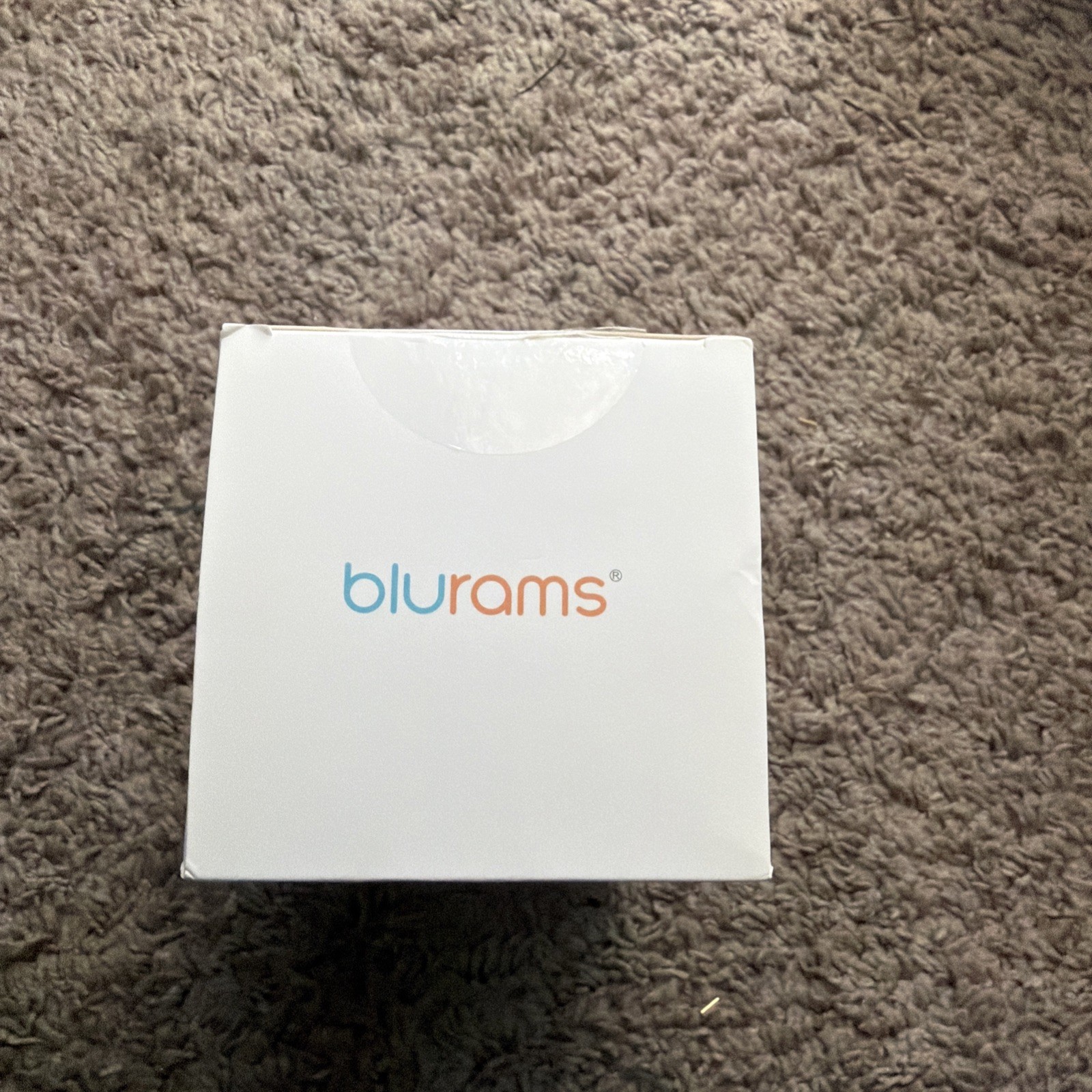 Blurams Smart Pan-Tilt Camera Dome Lite 2