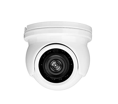EVERSECU AHD/TVI/CVI/Analog Mini Turret Dome Camera 1080p 1 Count (Pack of 1)