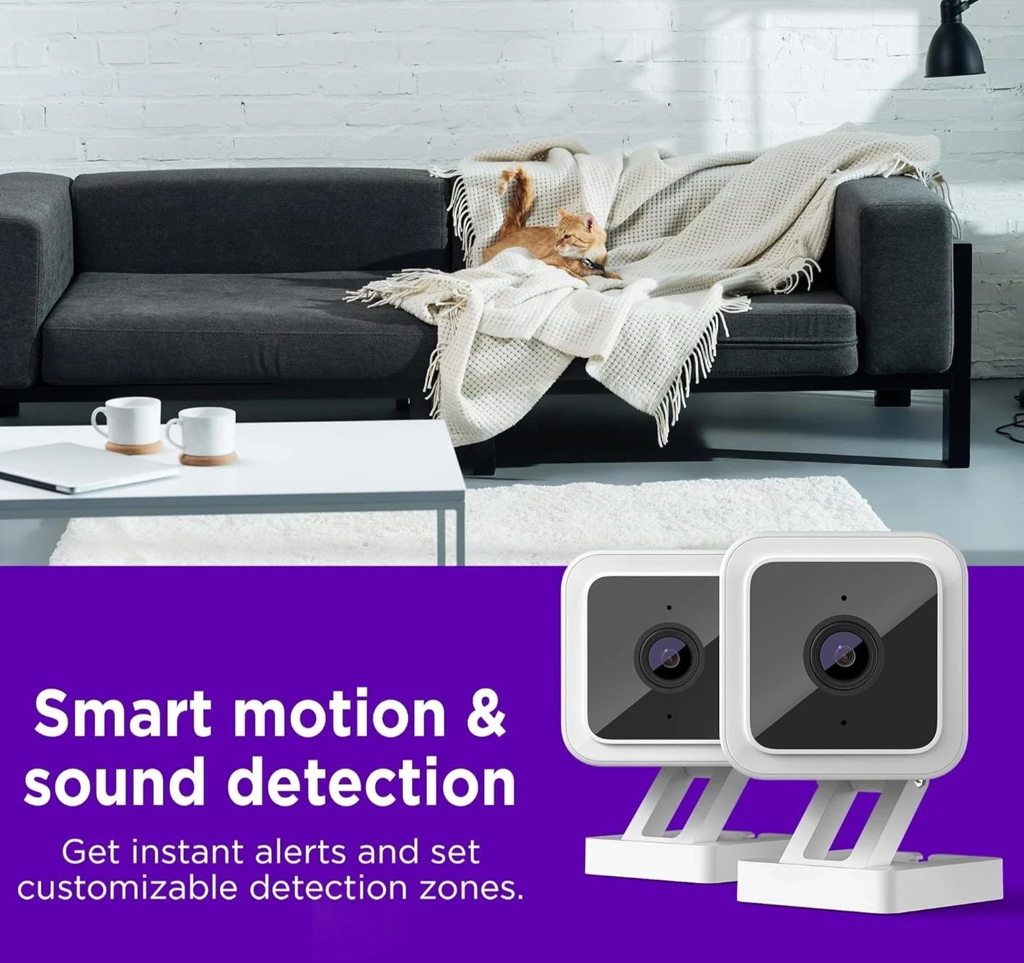 Roku Smart Home Indoor Camera SE (2-Pack) Wi-Fi-Connected – Wired Security