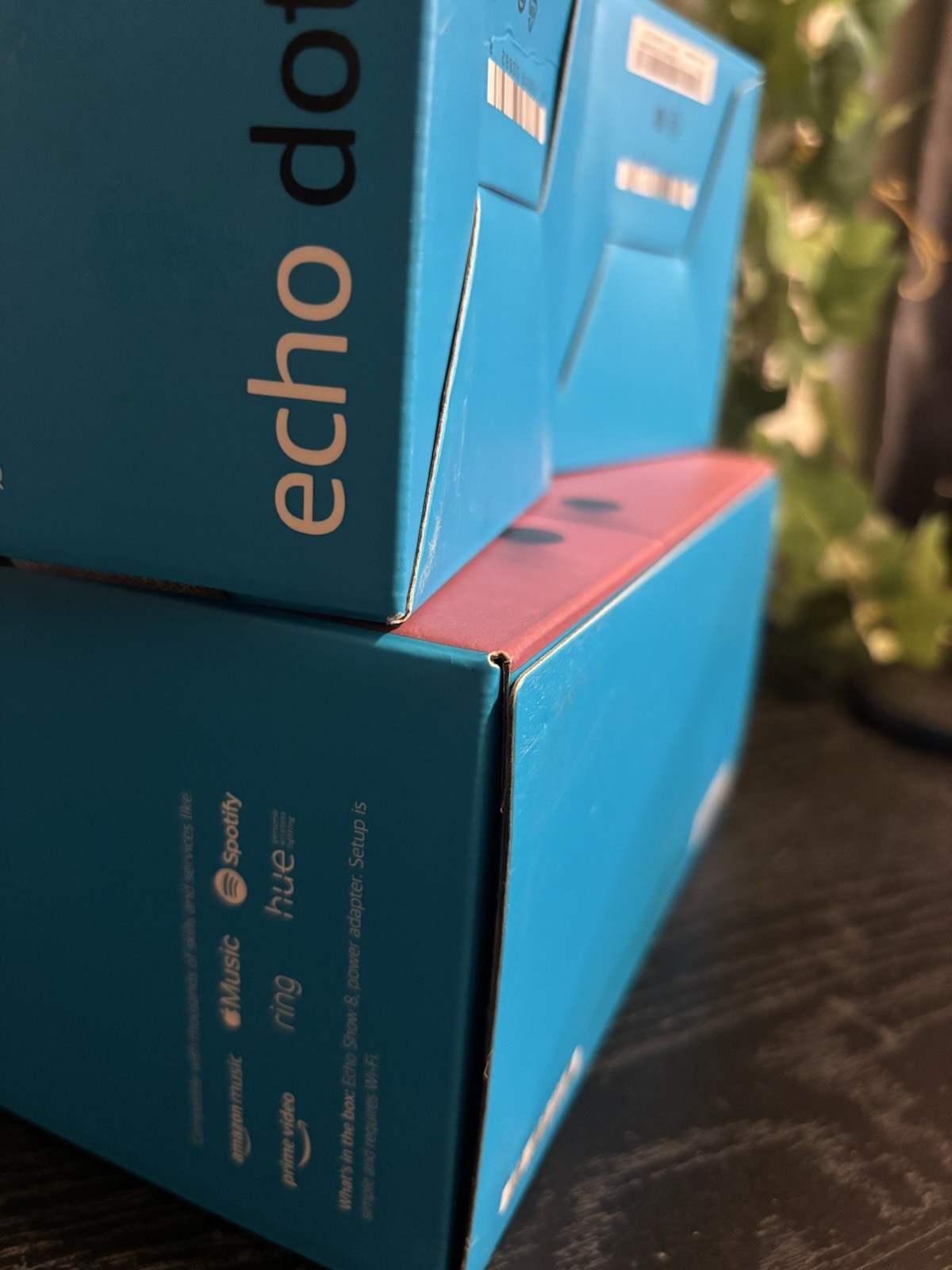 Echo Show 8 & 2 Echo Dot 3rd Generation Bunbdle of 3 BRAND NEW Fast Ship SEALED