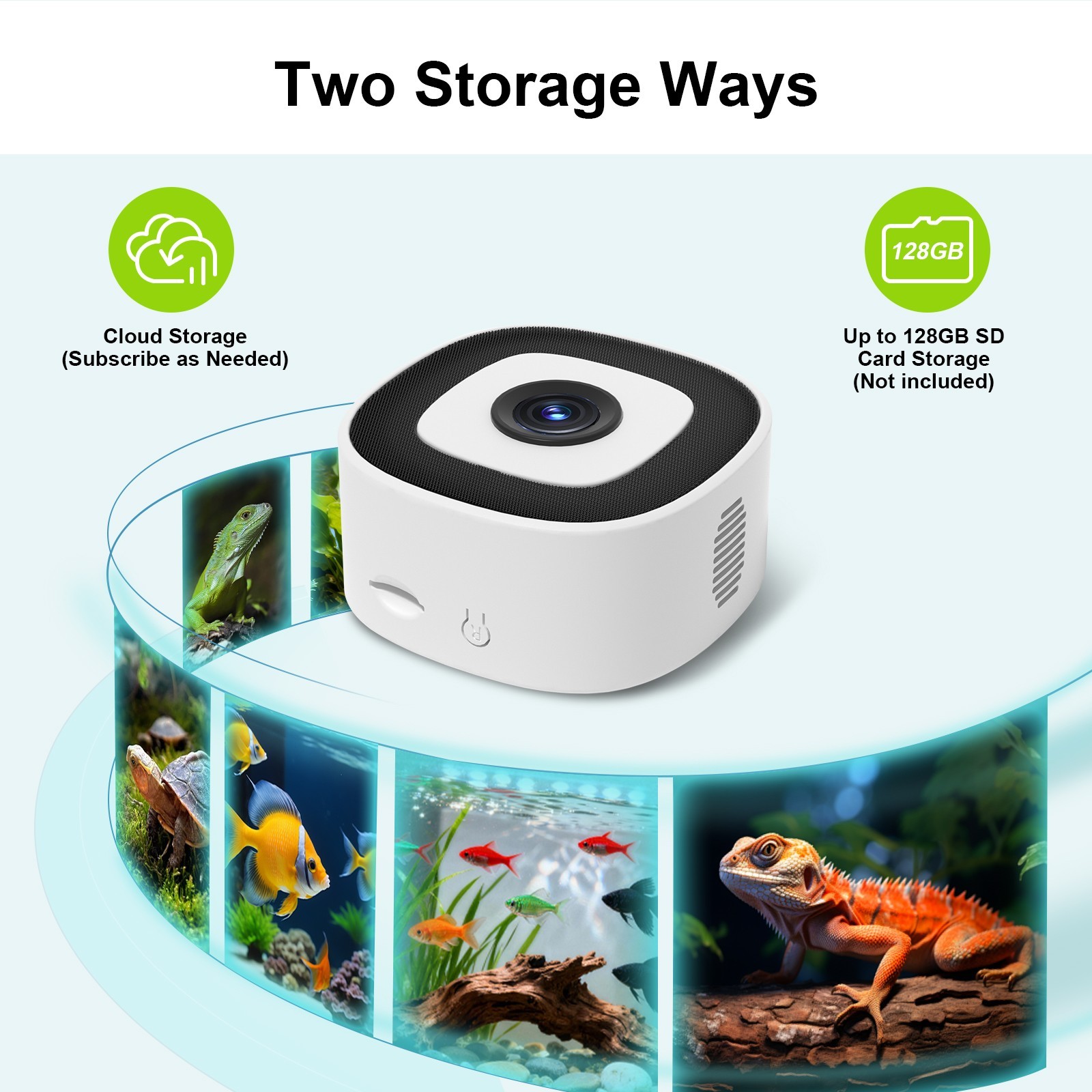 Pet Camera for Aquarium, Reptile & Bird Feeder,24/7 Recording, Easy to Install