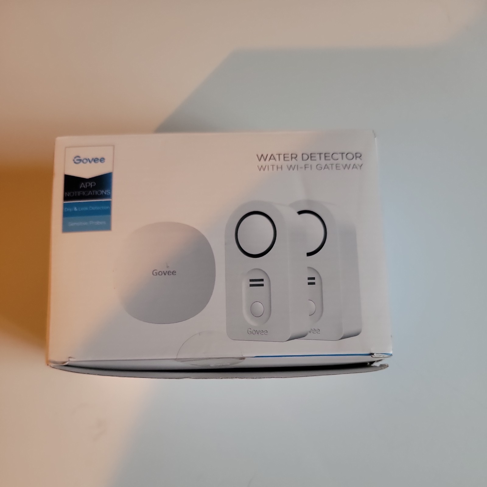 Govee Water Detector With Wi-Fi Gateway