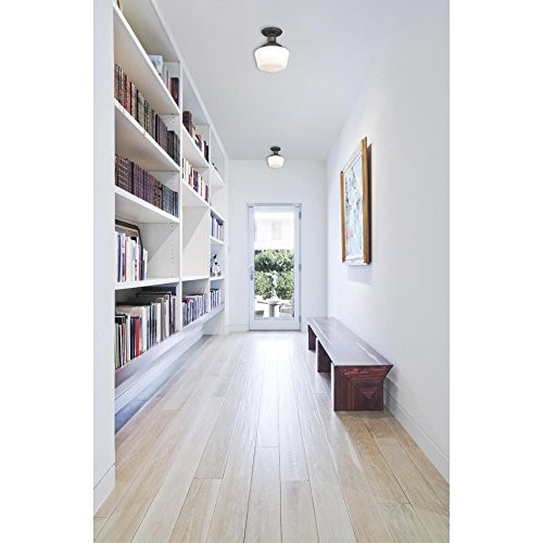 Westinghouse Lighting 6342200 Scholar One-Light Indoor Semi-Flush 11.42