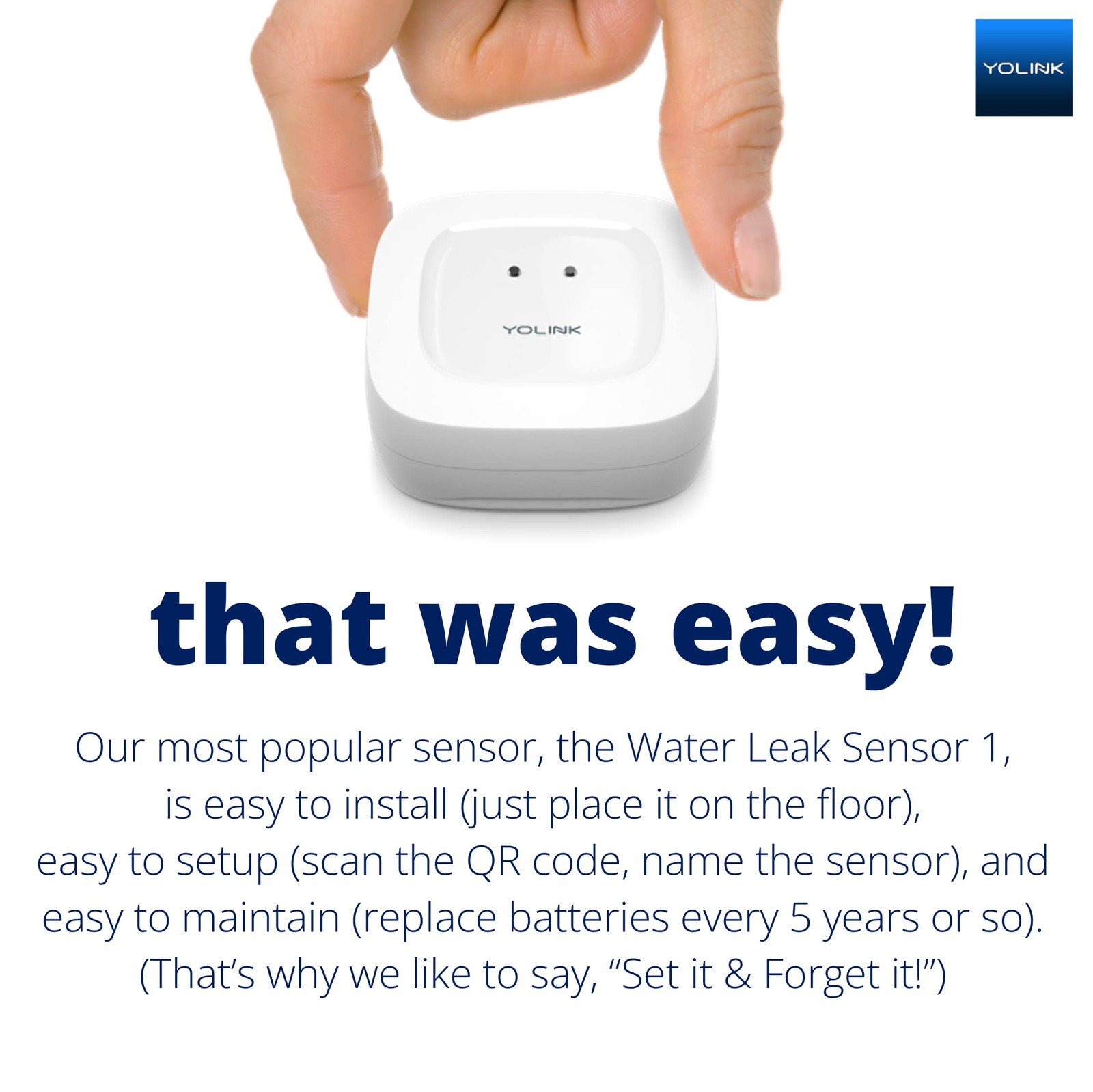 Smart Home Kit: Hub & Leak Sensors, SMS/Email Alerts, Alexa, IFTTT, 1/4 Mile …