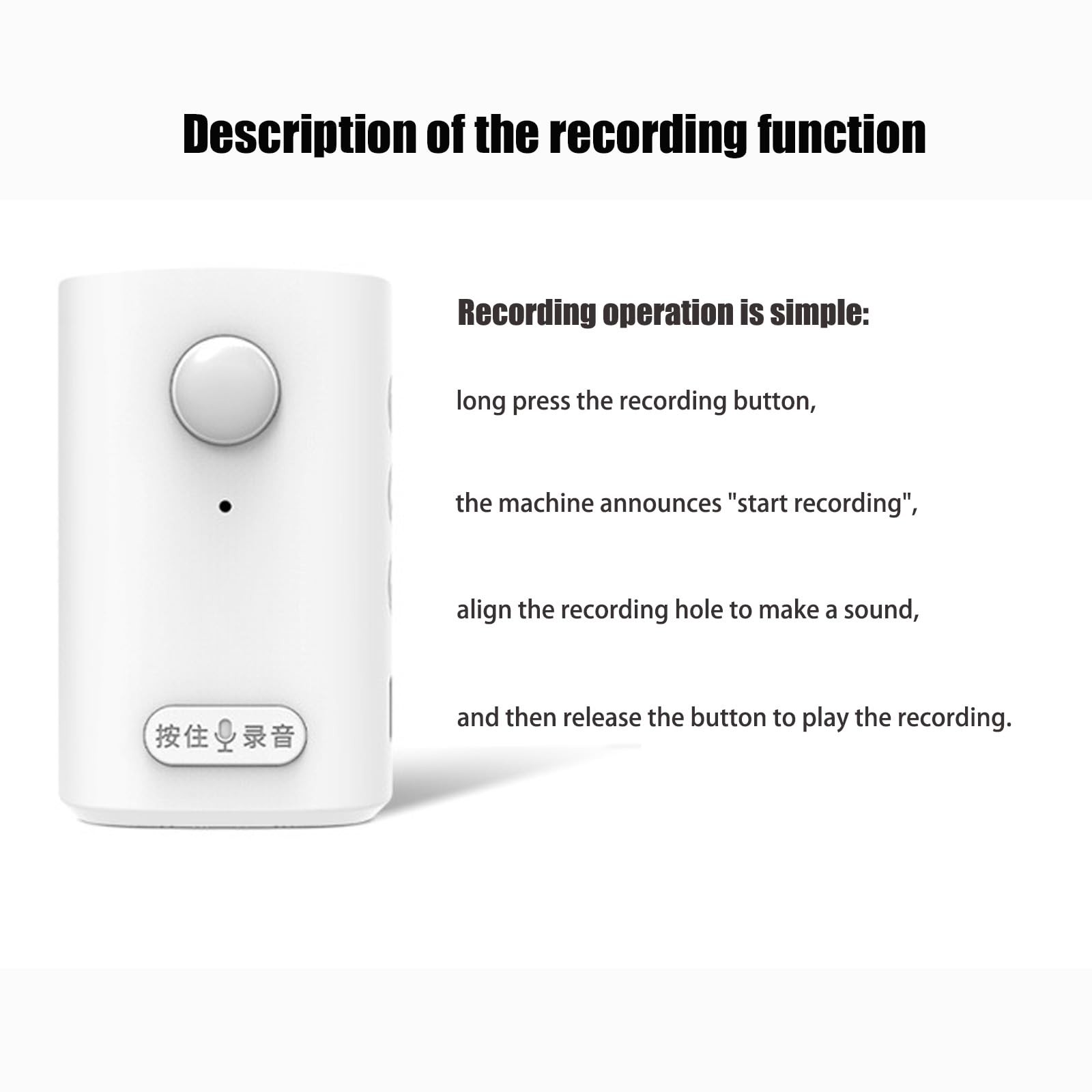 Motion Activated Voice Player – Recordable Voice, Built-in Microphone – Safet…