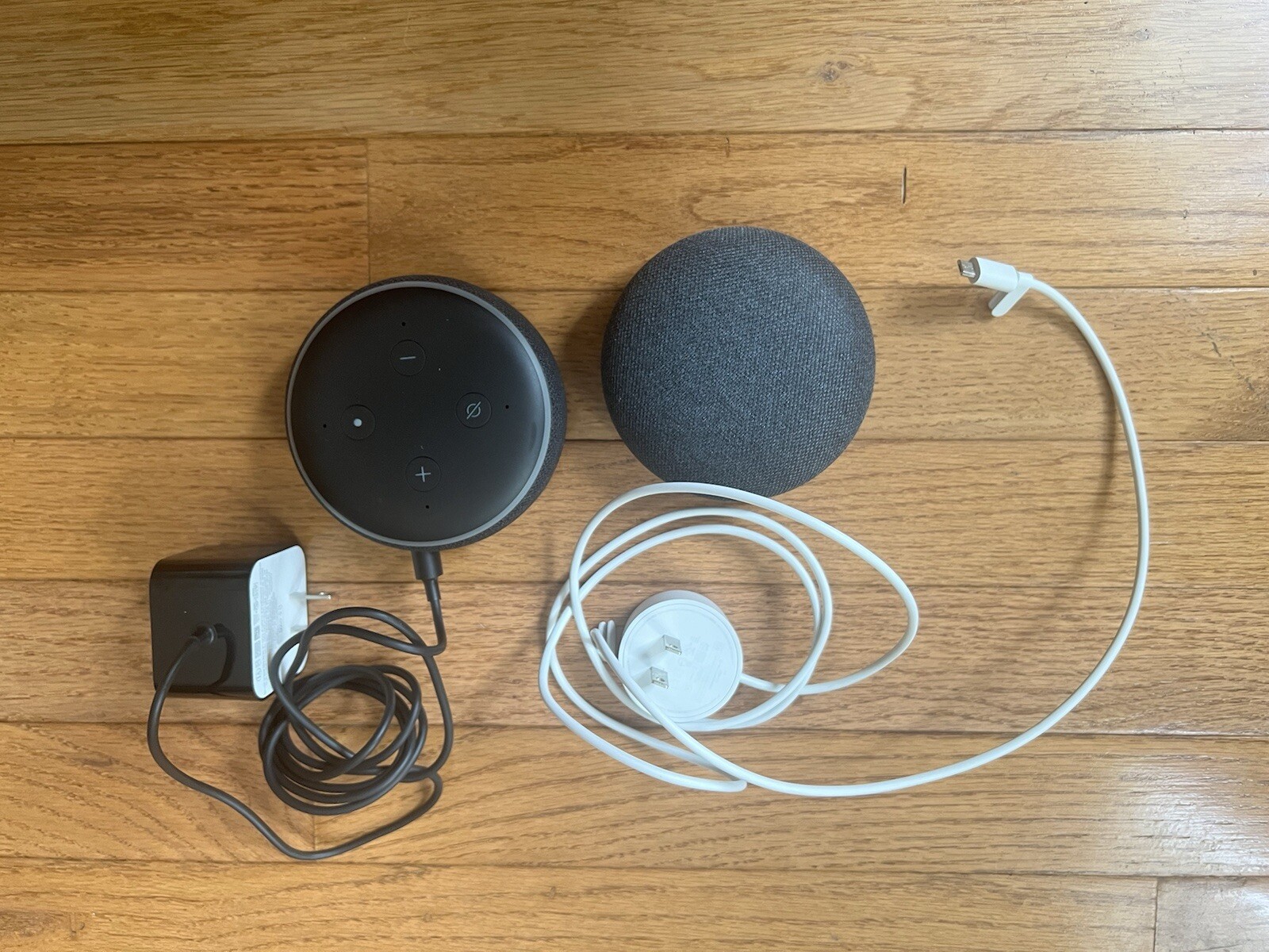 Google Home and Amazon echo