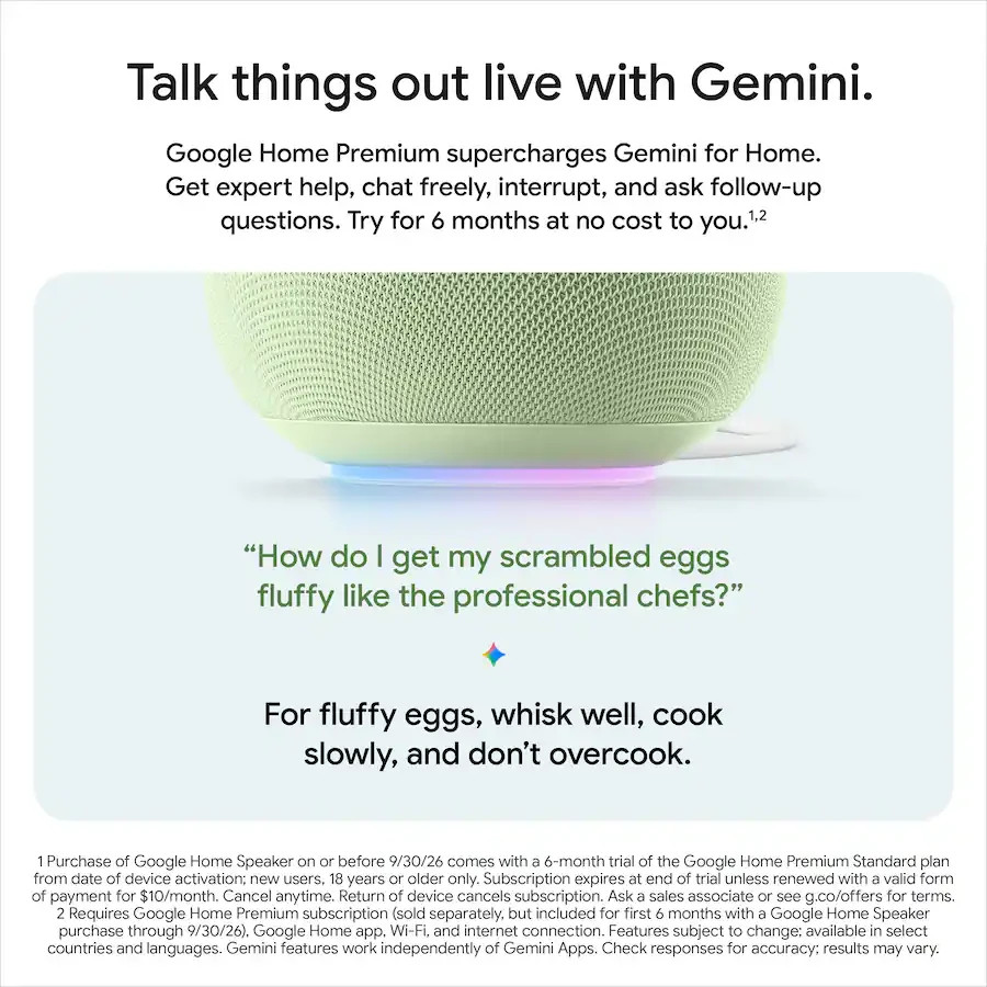 Google Home Speaker Smart Speaker Gemini Voice Assistant (Hazel)