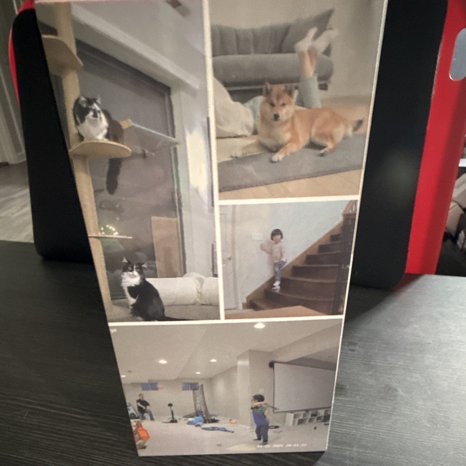 Sensforge Indoor Pan-Tilt Smart Security Camera – Ai Detection, Night Vision