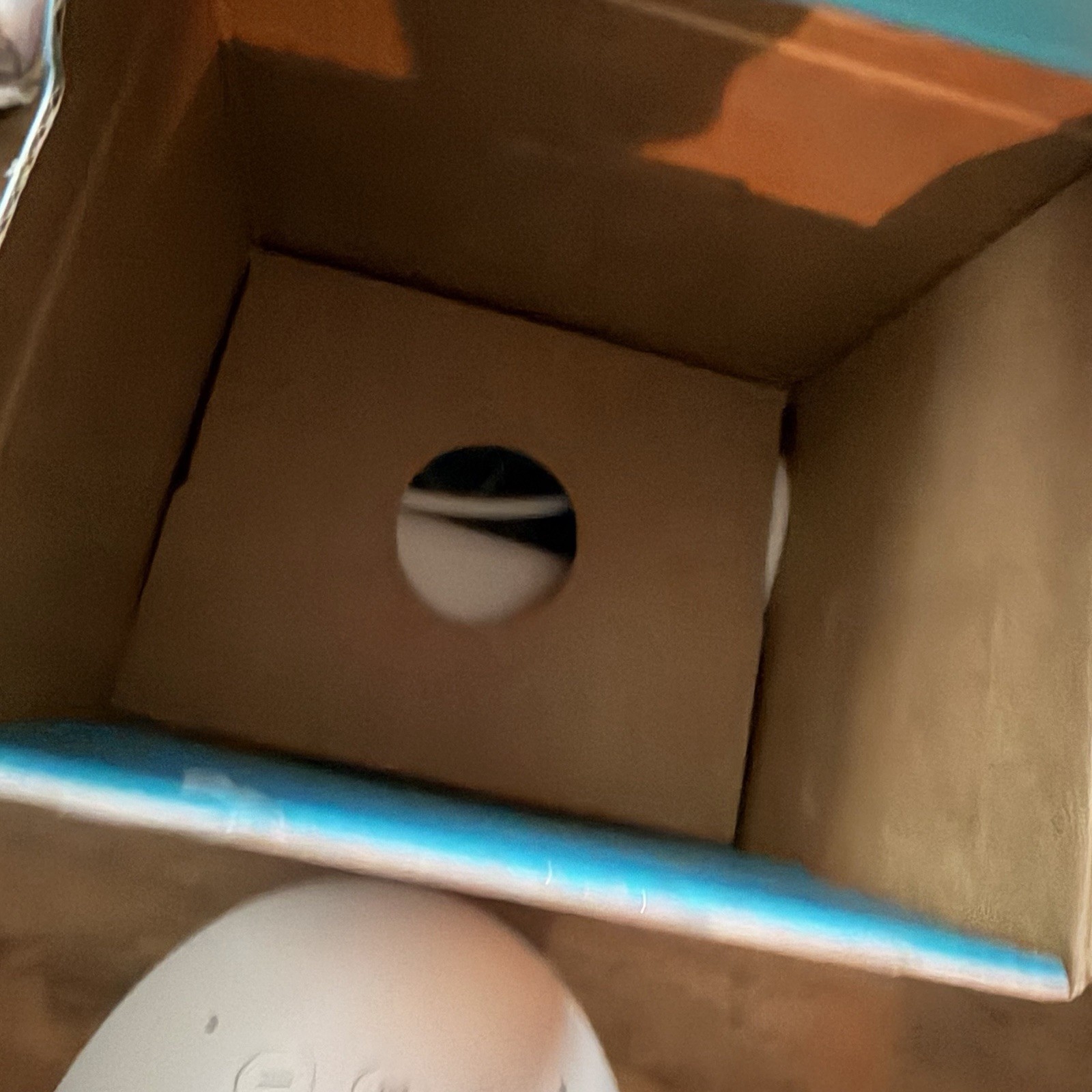 Amazon Echo Pop Speaker 2023 Model (C2H4R9)