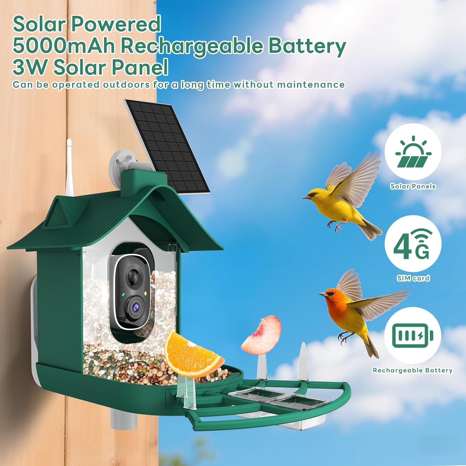 Cellular Smart Birdfeeder Cam, Built-in 4G LTE Sim Card, Solar Powered