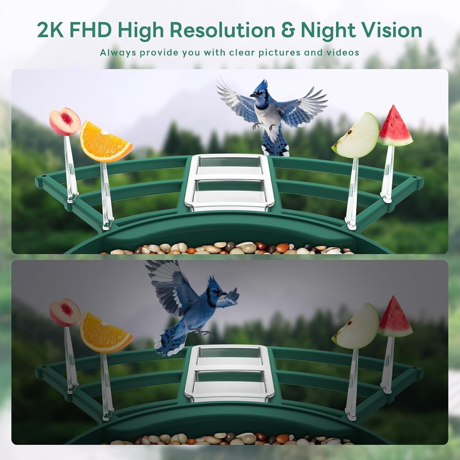 Cellular Smart Birdfeeder Cam, Built-in 4G LTE Sim Card, Solar Powered