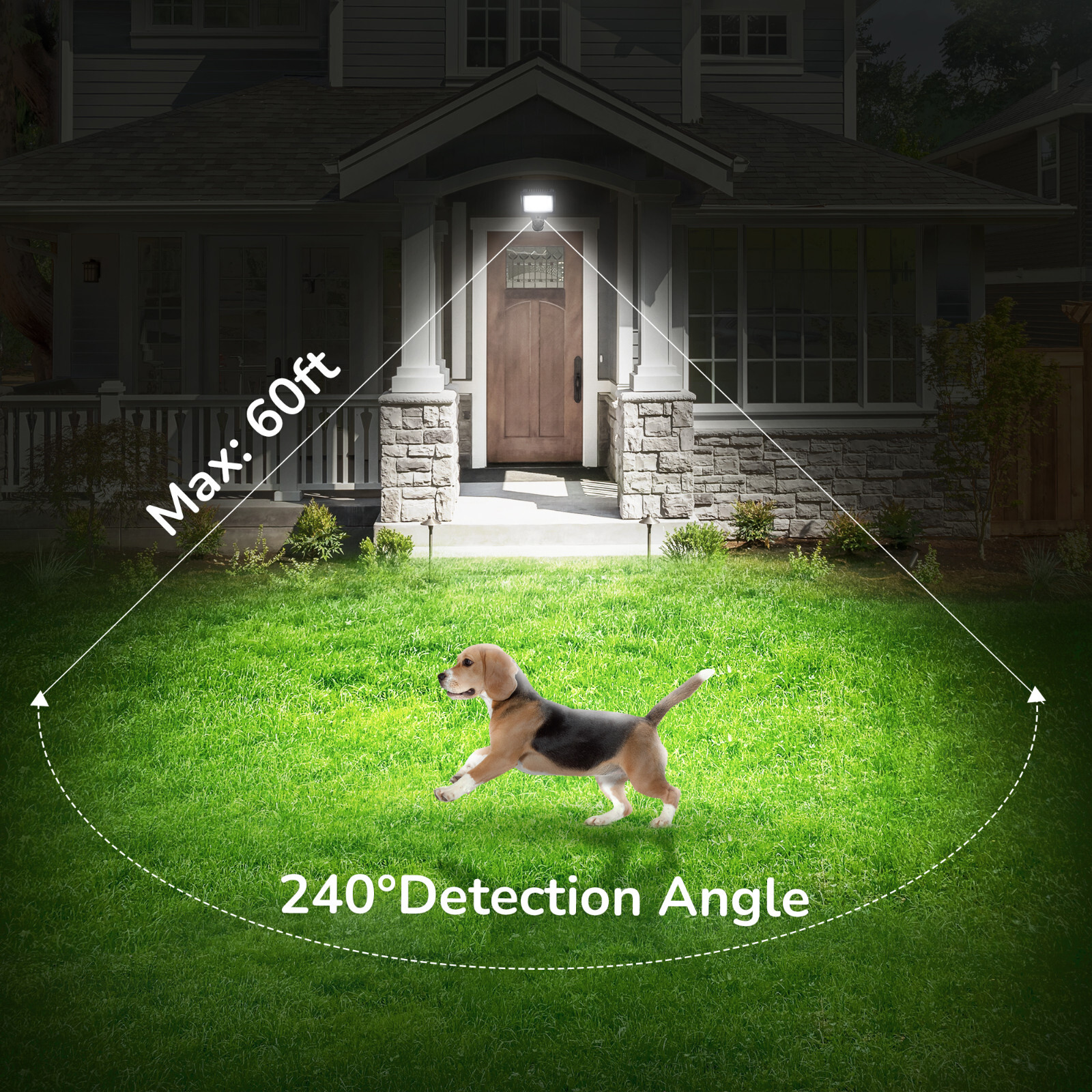 EDISHINE Motion Sensor, Automatic Dusk to Dawn, Motion PIR Sensor,240 Degree