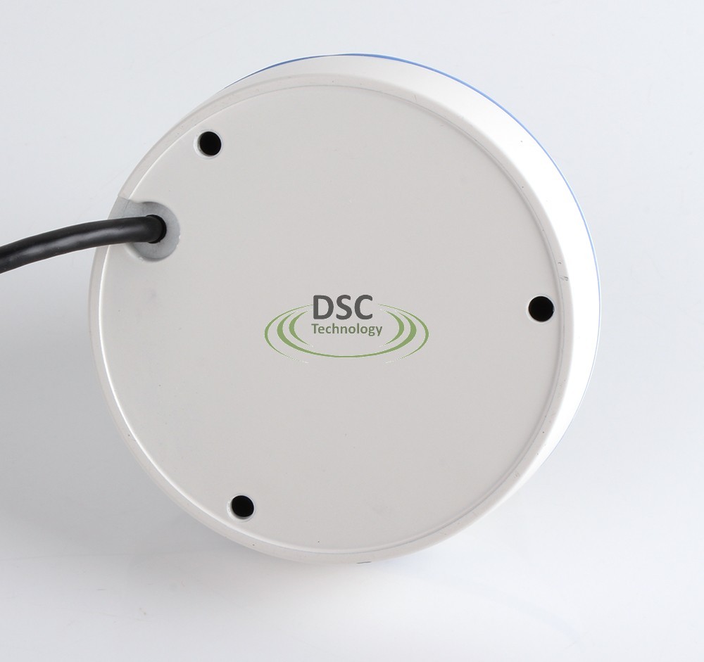 360/180 Panoramic view In/Outdoor Fisheye Mini Dome Camera 700TVL