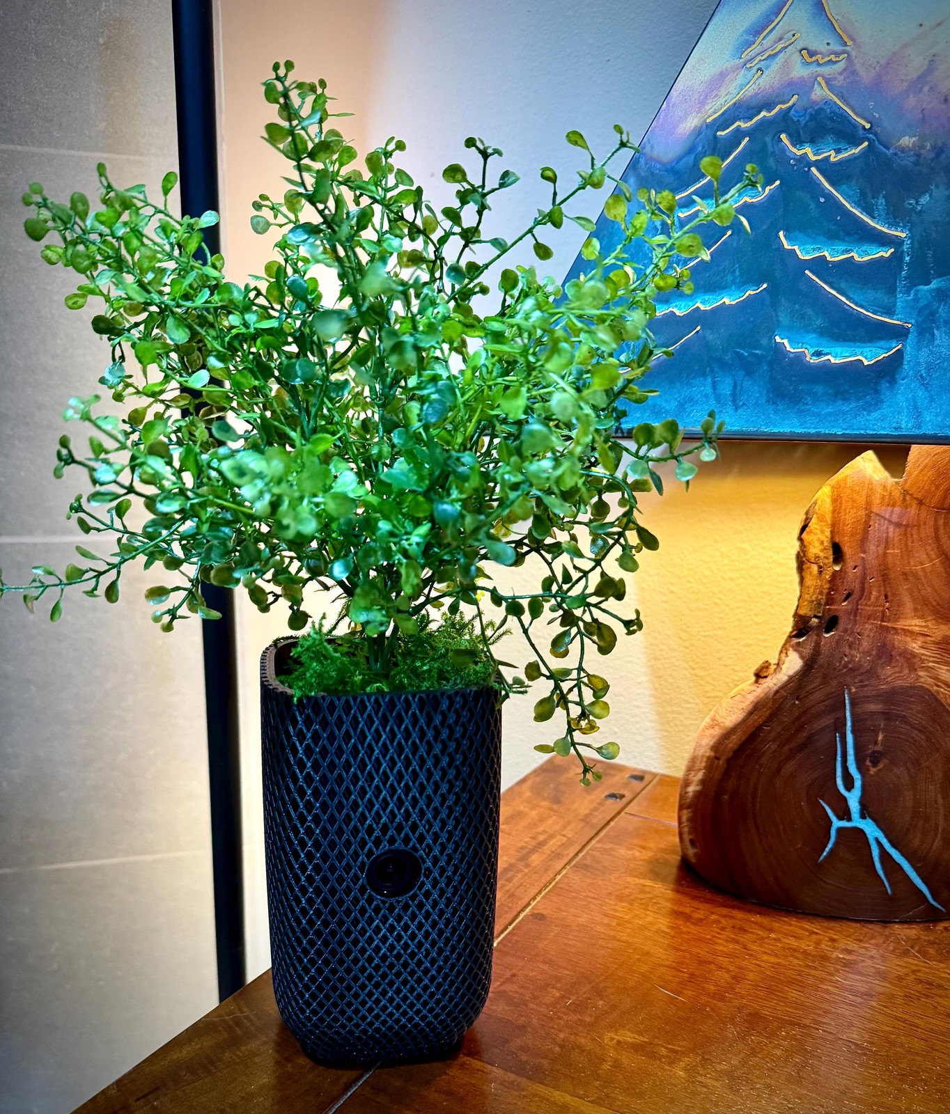 Ring Indoor Cam Plus Housing – Woven Pot Decorative Cover