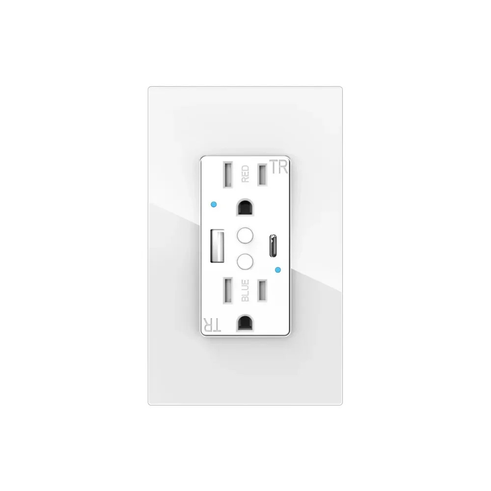 Melery Tuya Wifi Wall Socket USB TypeC Charge Receptacle Alexa Google Home Smart