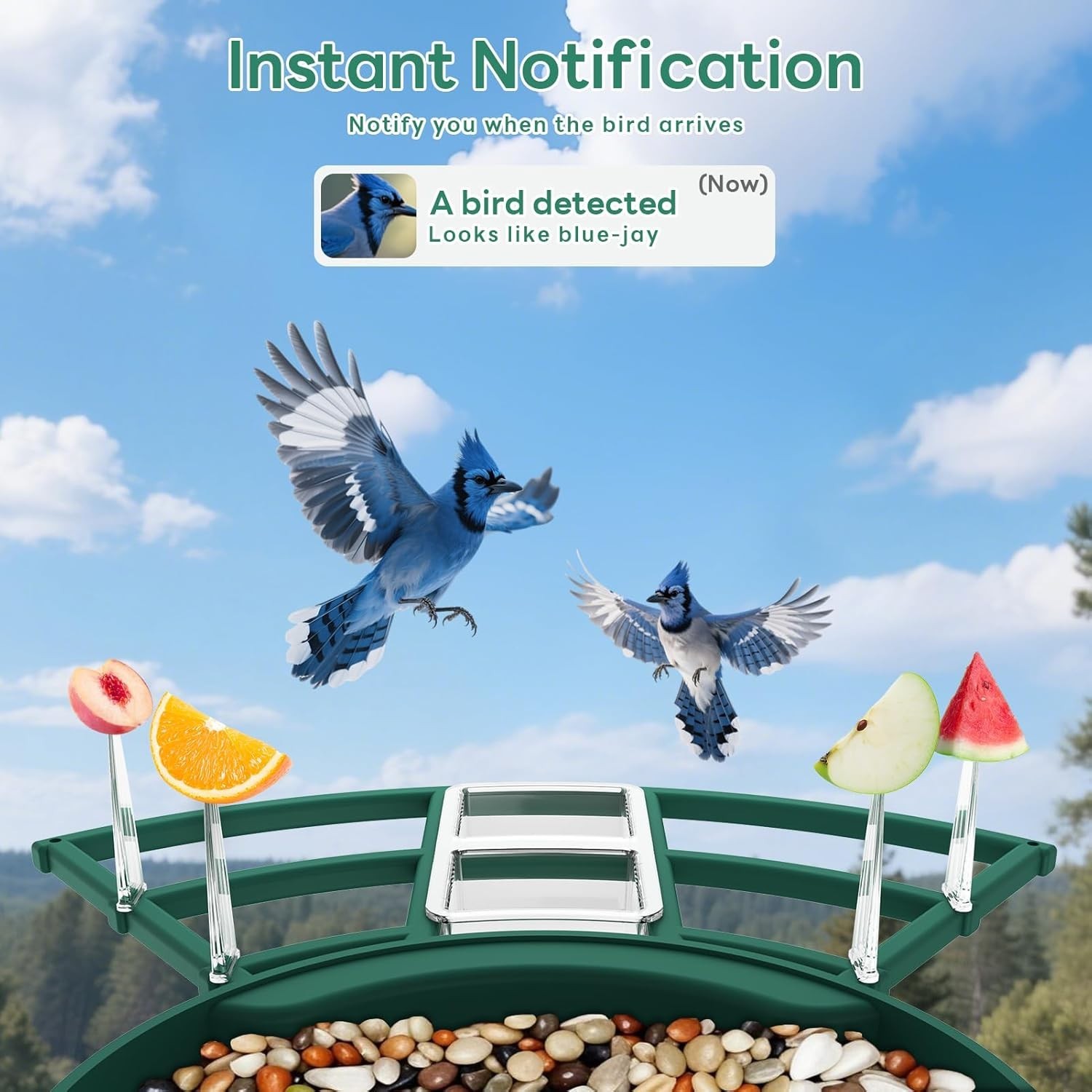 Cellular Smart Birdfeeder Cam, Built-in 4G LTE Sim Card, Solar Powered