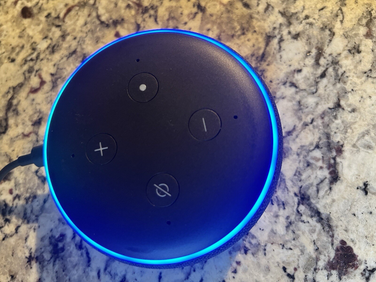 Google Home and Amazon echo