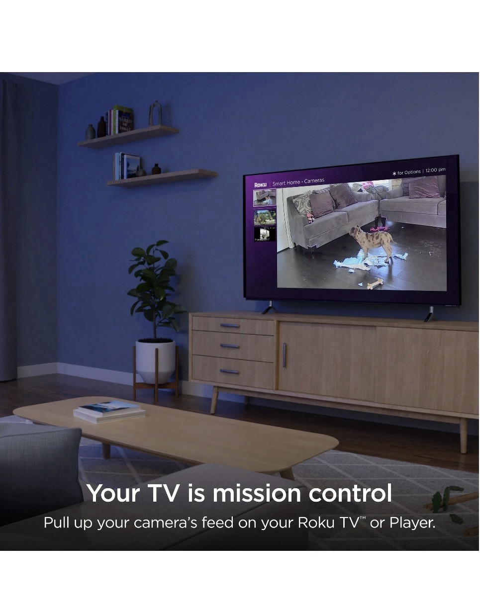 Roku Smart Home Indoor Camera SE Wi-Fi Security Camera Wired Brand New Sealed