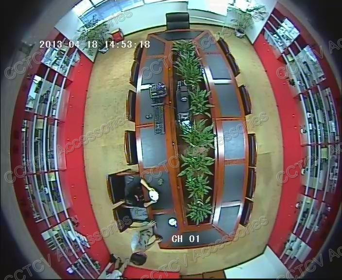 360/180 Panoramic view In/Outdoor Fisheye Mini Dome Camera 700TVL